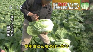 viploader1228090