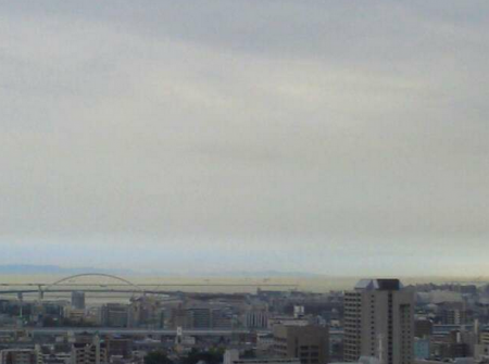 Osaka bay turned to be yellow