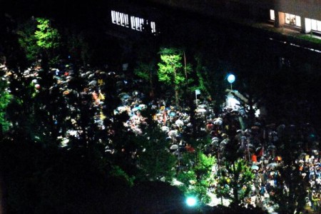 AJISAI revolution / La révolution des hortensias 3