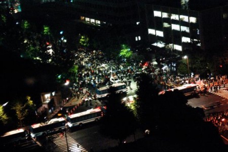 AJISAI revolution / La révolution des hortensias 2