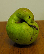 [Mutation] Yamagata newspaper reported 3 mutated agricultural products 2