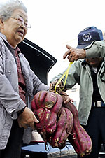 [Mutation] Yamagata newspaper reported 3 mutated agricultural products 6