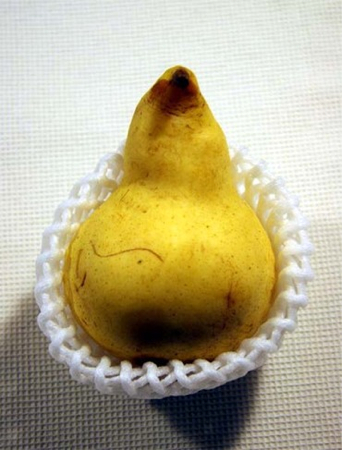[Mutation] Yamagata newspaper reported 3 mutated agricultural products