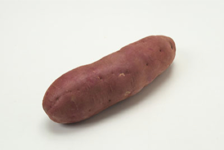 [Mutation] Yamagata newspaper reported 3 mutated agricultural products 5