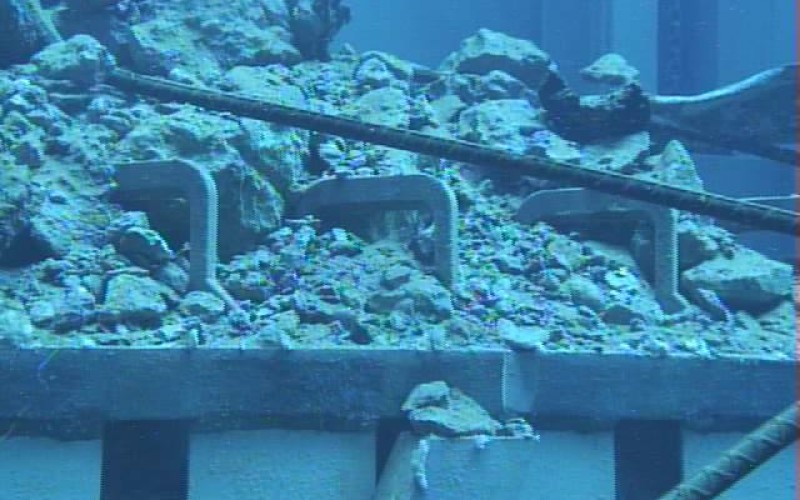 Tepco “found” 8 more fuel assemblies under the fallen debris in Reactor 3 pool