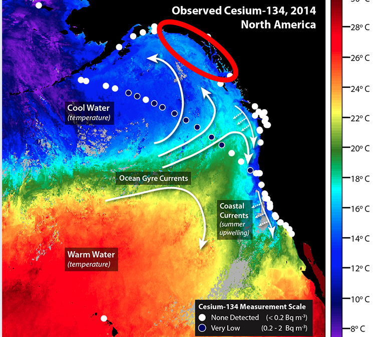 Resultado de imagen para FUKUSHIMA CONCIENCIA RADIO CESIO - URANIO