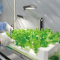 Panasonic to reuse Fukushima factory as vegetable factory