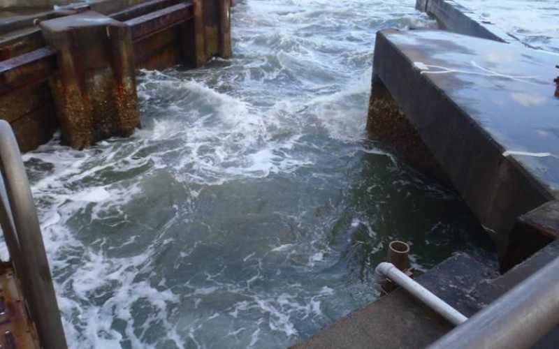7,230,000 Bq/m3 of all β nuclide leaked from drain to the sea / “Contamination level suddenly jumped up”