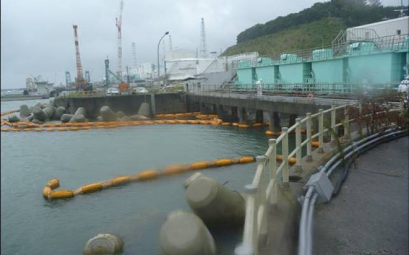 The highest density of all β nuclide detected outside of Fukushima plant port