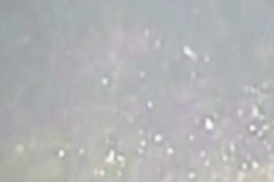 Tepco’s camera caught possible living creature inside Reactor 3 vessel of 1 Sv/h