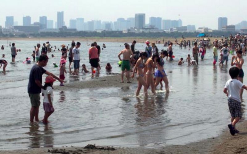 Ministry of Land not disclosing water quality data of Tokyo bay for 2 months