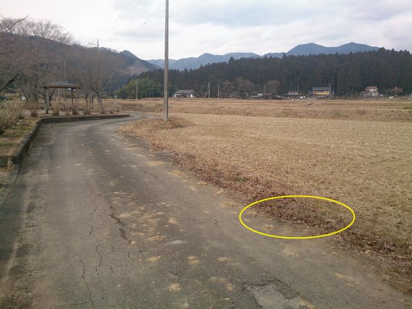 3 Photo Still over 1 μSv:h measured beside a rice field in Tochigi