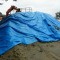 Ministry of the Environment plans to recycle 90 percent of contaminated soil in Fukushima but no technology