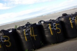 Fukushima citizen posted “Tsunami seawall in Fukushima prefecture is only sandbags” – Photo