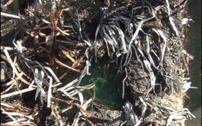 Tepco dropped a major piece of debris into Spent Fuel Pool of Reactor 3