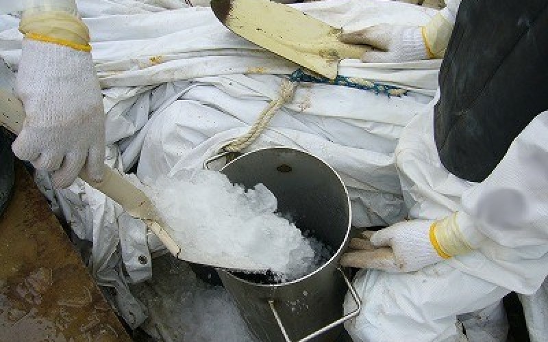 Tepco to give up the preceding frozen wall and directly fill the trenches with cement instead