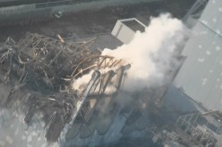 Tepco has analyzed only 5 samples of fish for Sr-90 outside Fukushima port in the first quarter of 2015